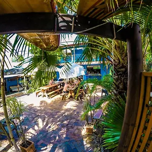  Hostal Cool Bananas Backpackers